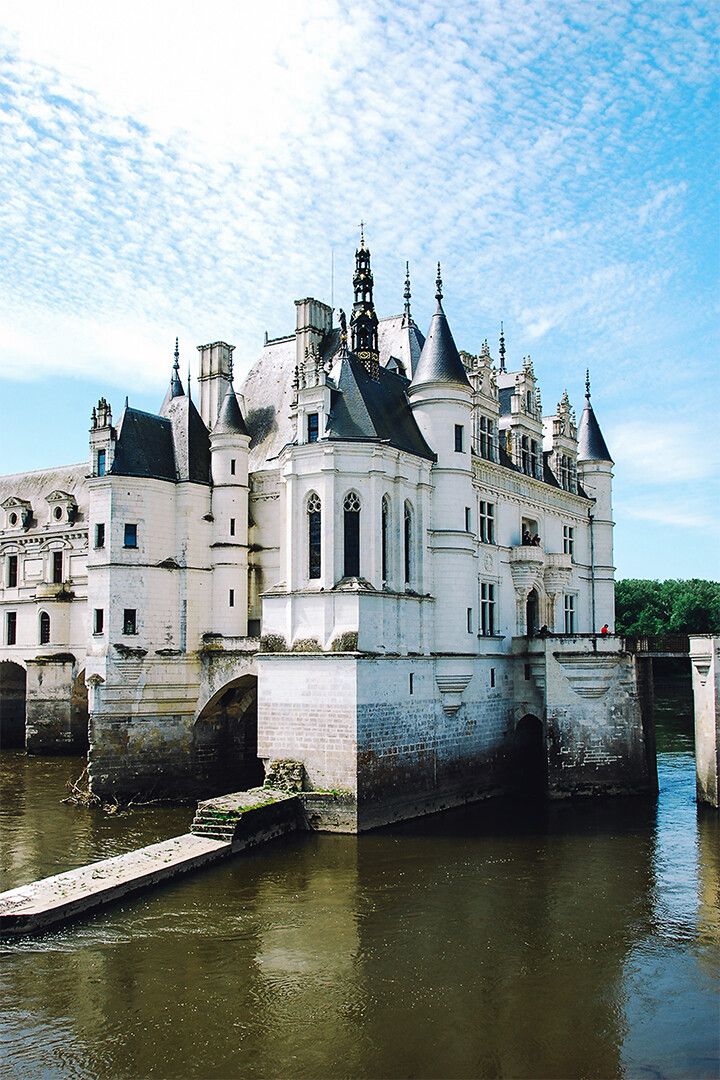 Portrait Of French Chateau Painting Print Jigsaw Puzzle