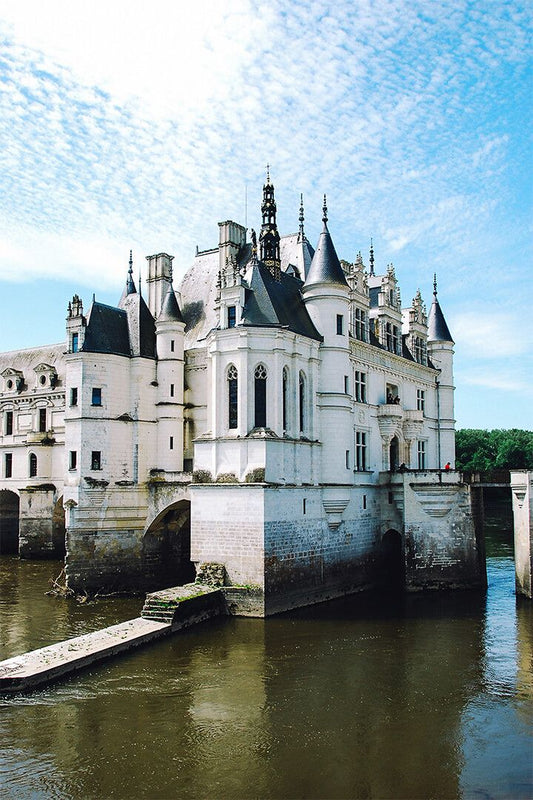 Portrait Of French Chateau Painting Print Jigsaw Puzzle
