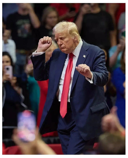 President Donald J Trump Dance Gop Conservative Republican Photo Poster