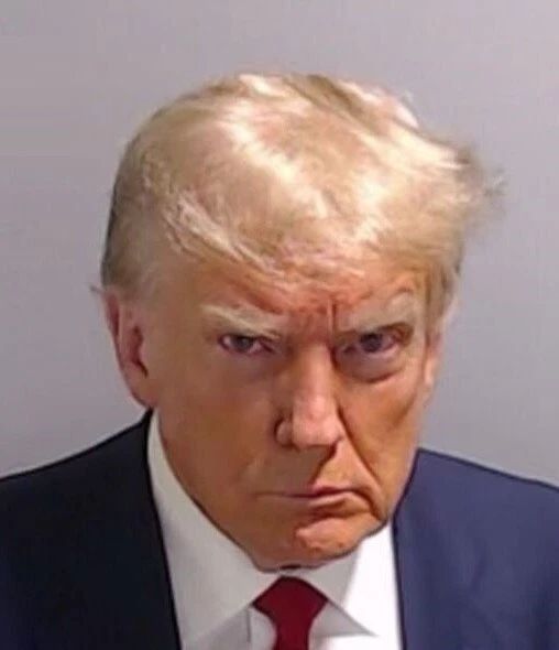 President Donald Trump 2023 Arrest Mug Shot Magnet Picture Magnet Print