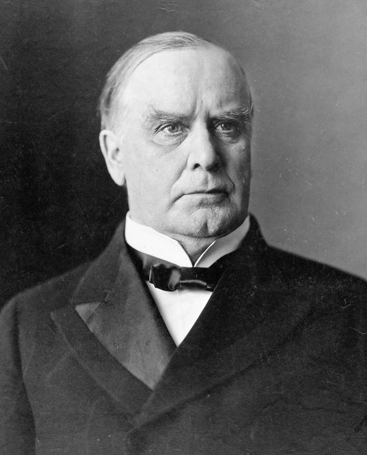 President William Mckinley Official Portrait Republican Magnet Picture