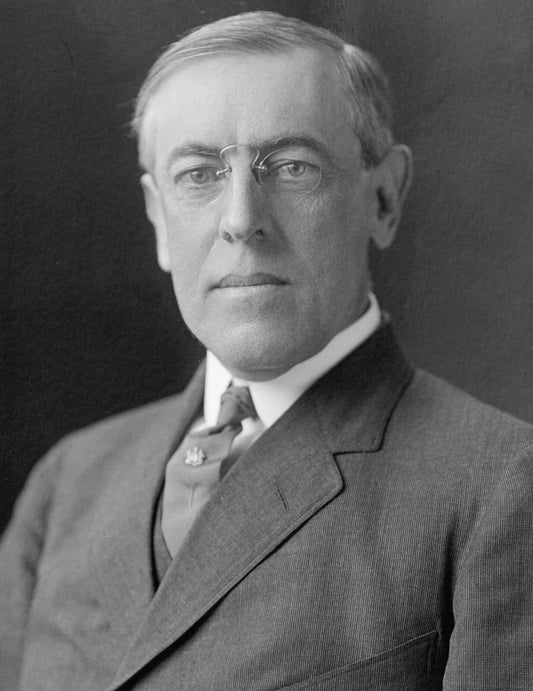 President Woodrow Wilson Official Portrait Democratic Photo Picture