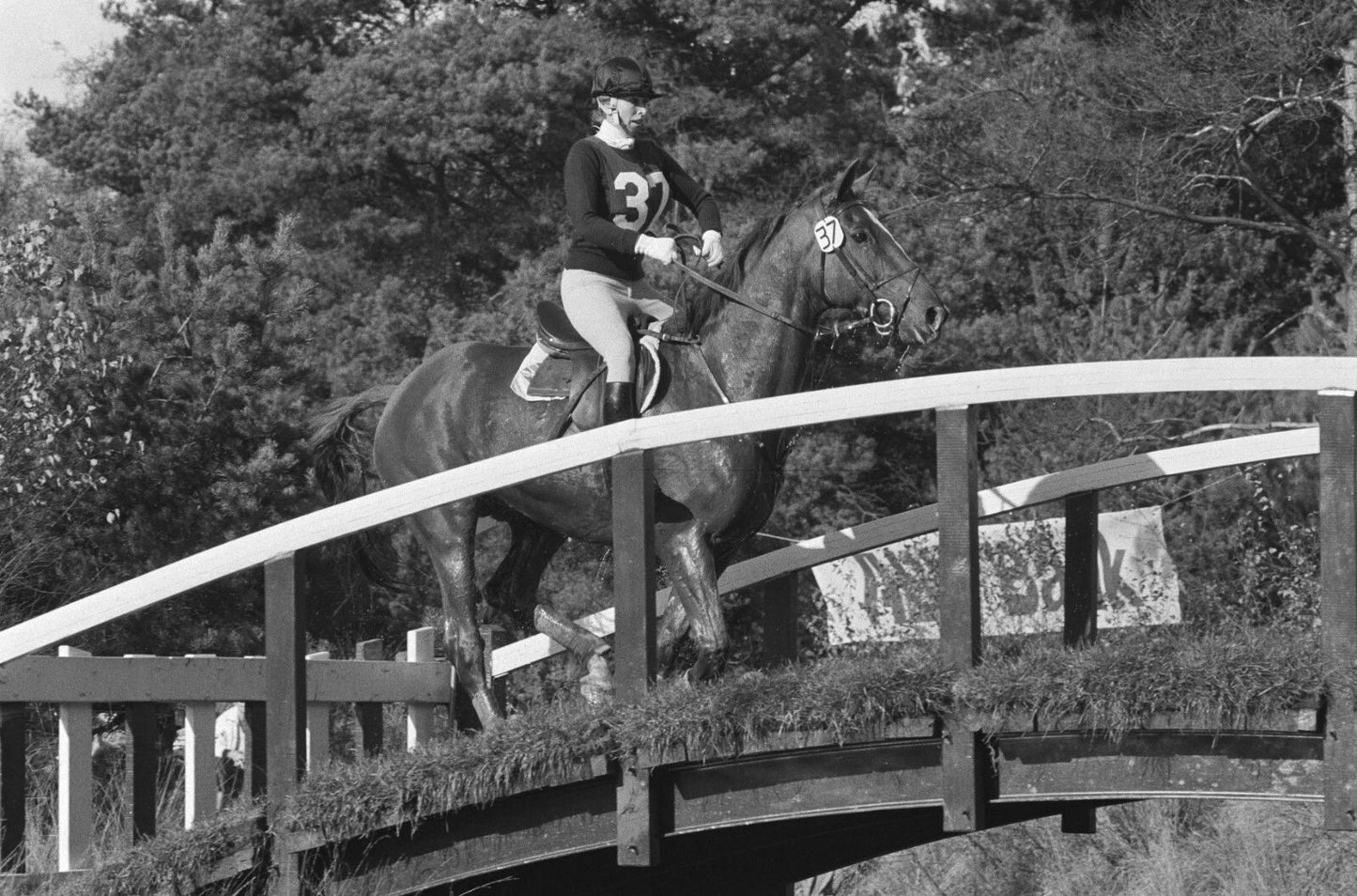 Princess Anne Riding A Horse In The Netherlands 1980 Poster Picture Photo Print