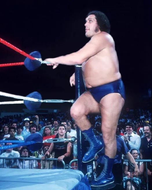 Pro Wrestler Andre The Giant Glossy Photo Wrestling Wwf Print Wwe Poster 1