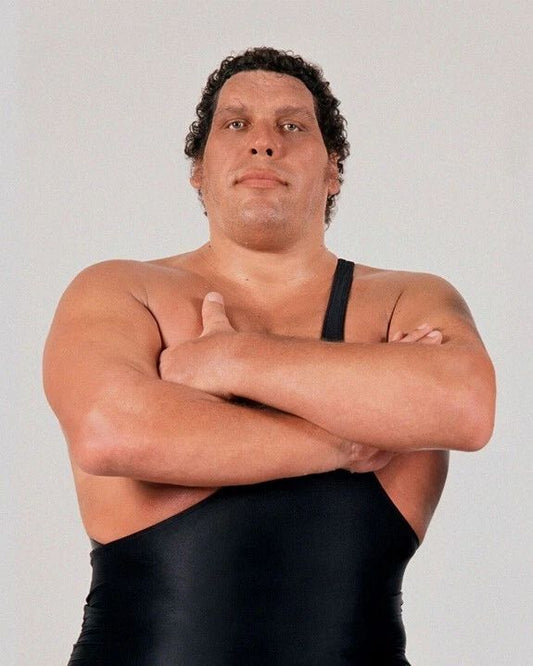Pro Wrestler Andre The Giant Glossy Photo Wrestling Wwf Print Wwe Poster 2