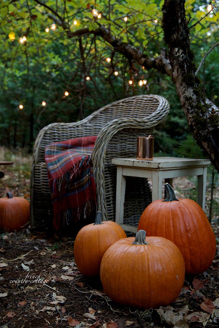 Pumpkins Willows Autumn Garden Fall Floral House Garden Jigsaw Puzzle