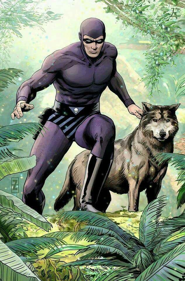 Purple Hero With Wolf In Forest Print Poster