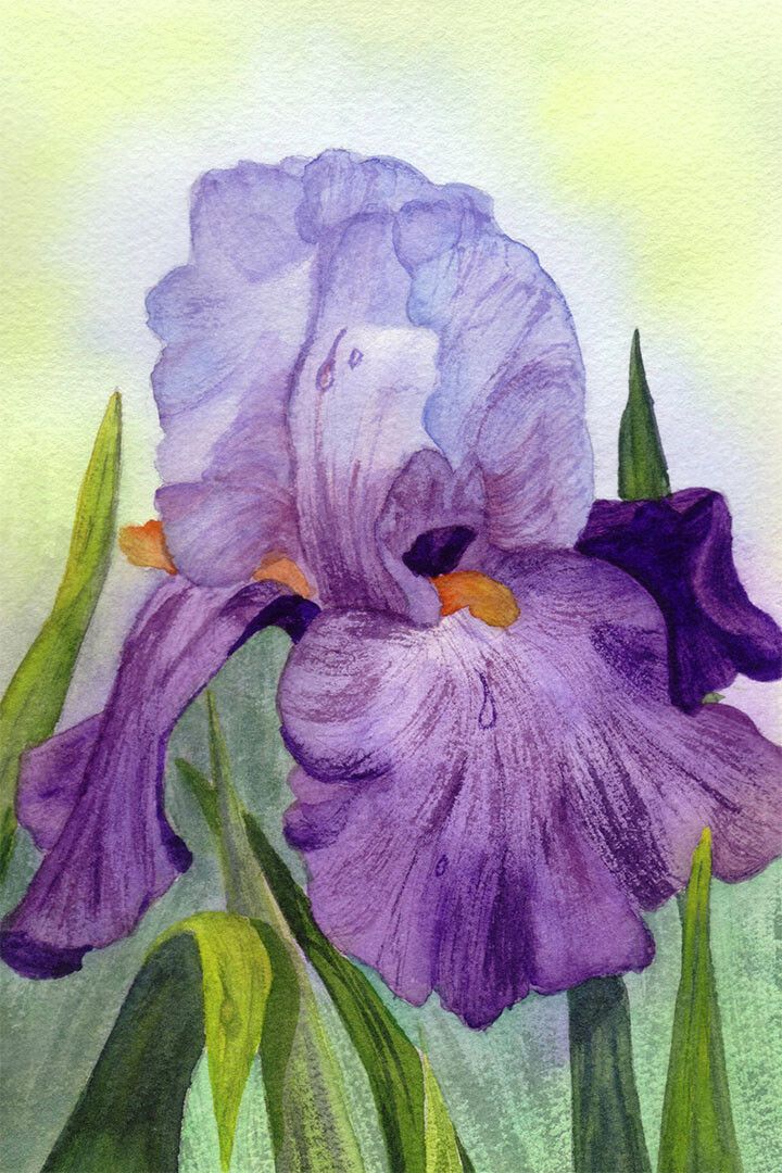 Purple Colorful Plants Iris Flower Oil Paint Jigsaw Puzzle