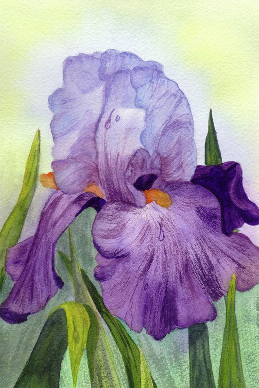 Purple Colorful Plants Iris Flower Oil Paint Jigsaw Puzzle