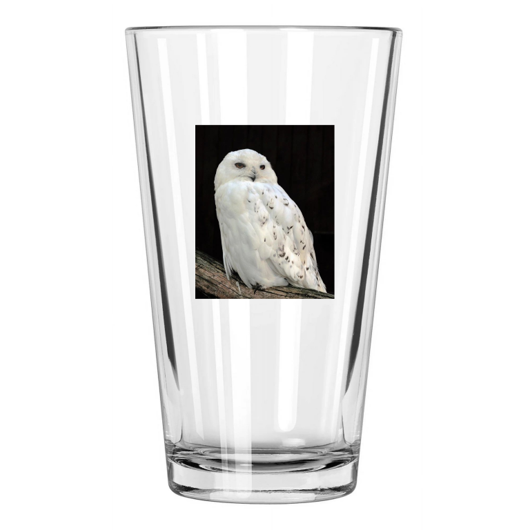 Quebec Snow Owl Photo America Bird Nature Wildlife Pint Beer Drinking Glass