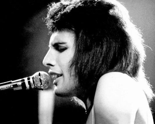 Queen Freddie Mercury Glossy Photo Rock And Roll Print Rock Band Poster