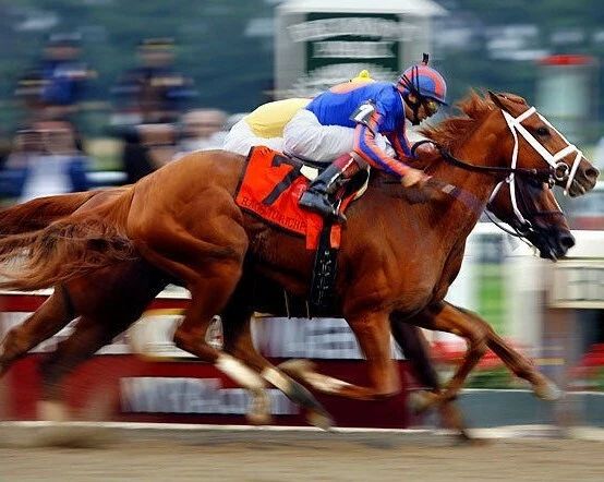 Rags To Riches Photo Horse Racing Picture Jockey