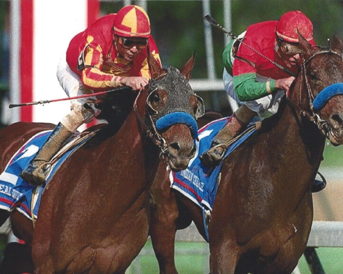 Real Quiet Photo Horse Racing Picture Jockey