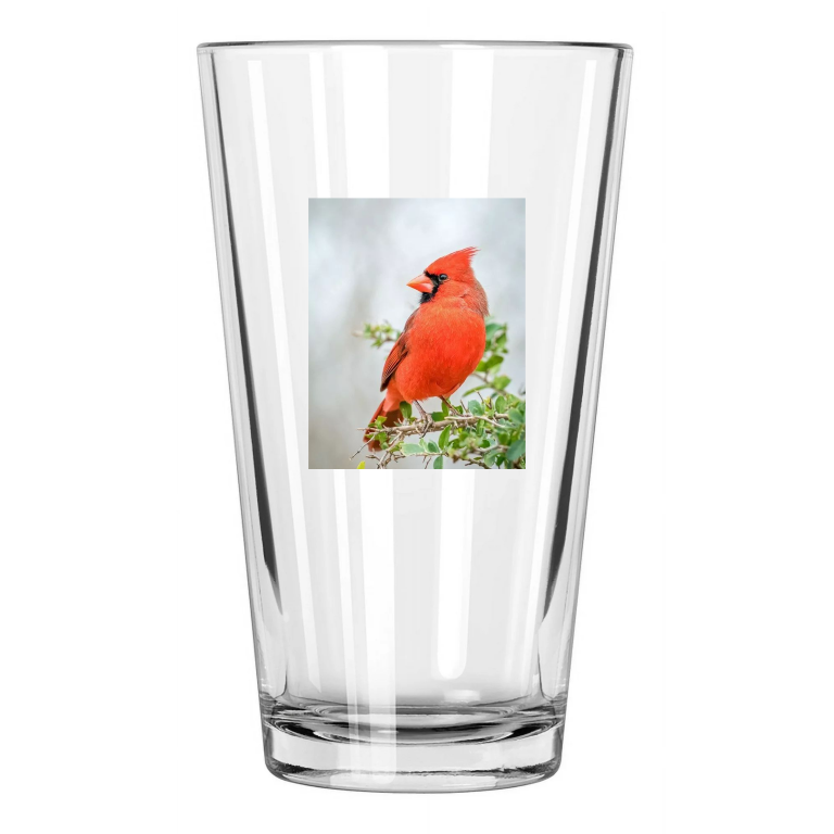 Red Cardinal Photo Nature United States Bird Wildlife 2 Pint Beer Drinking Glass