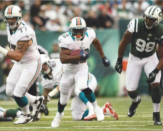 Reggie Bush Keychain Miami Dolphins Picture Nfl Football Game Action
