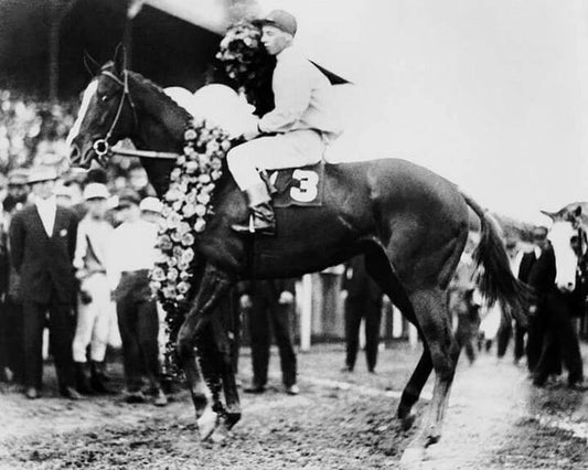 Regret Magnet Horse Racing Picture