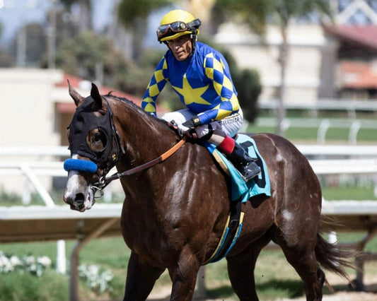 Reincarnate Photo Horse Racing Picture Jockey