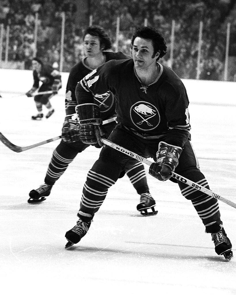 Rene Robert Photo Hockey Buffalo Sabres Nhl Bw Action 300 Piece Jigsaw Puzzle