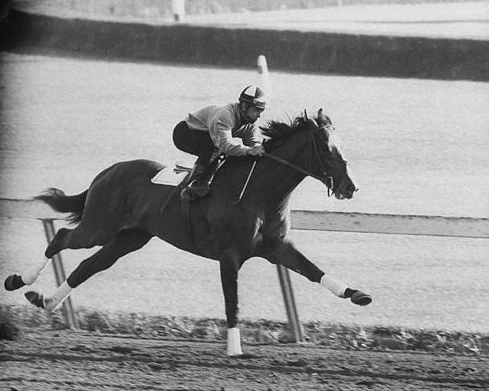 Ridan Photo Horse Racing Picture Jockey Action