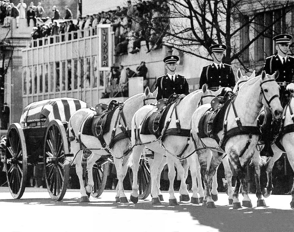 Riderless Horse At The President John F Kennedy Jfk Funeral Picture Photo