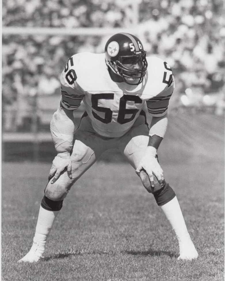 Robin Cole Photo Pittsburgh Steelers Nfl Football 300 Piece Jigsaw Puzzle