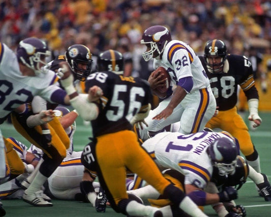 Robin Cole Magnet Pittsburgh Steelers Picture Nfl Football Vs Vikings