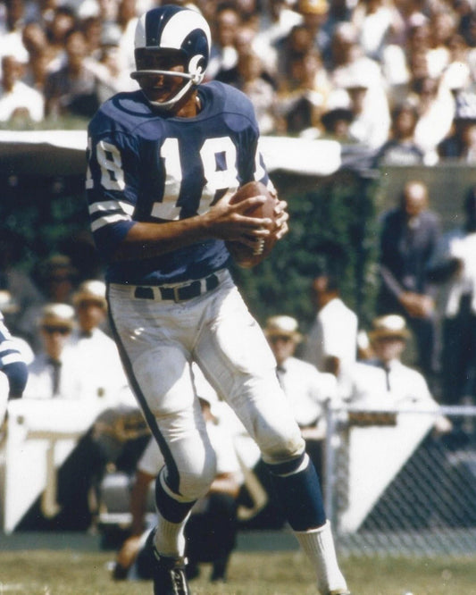 Roman Gabriel Magnet Los Angeles Rams La Picture Nfl Football