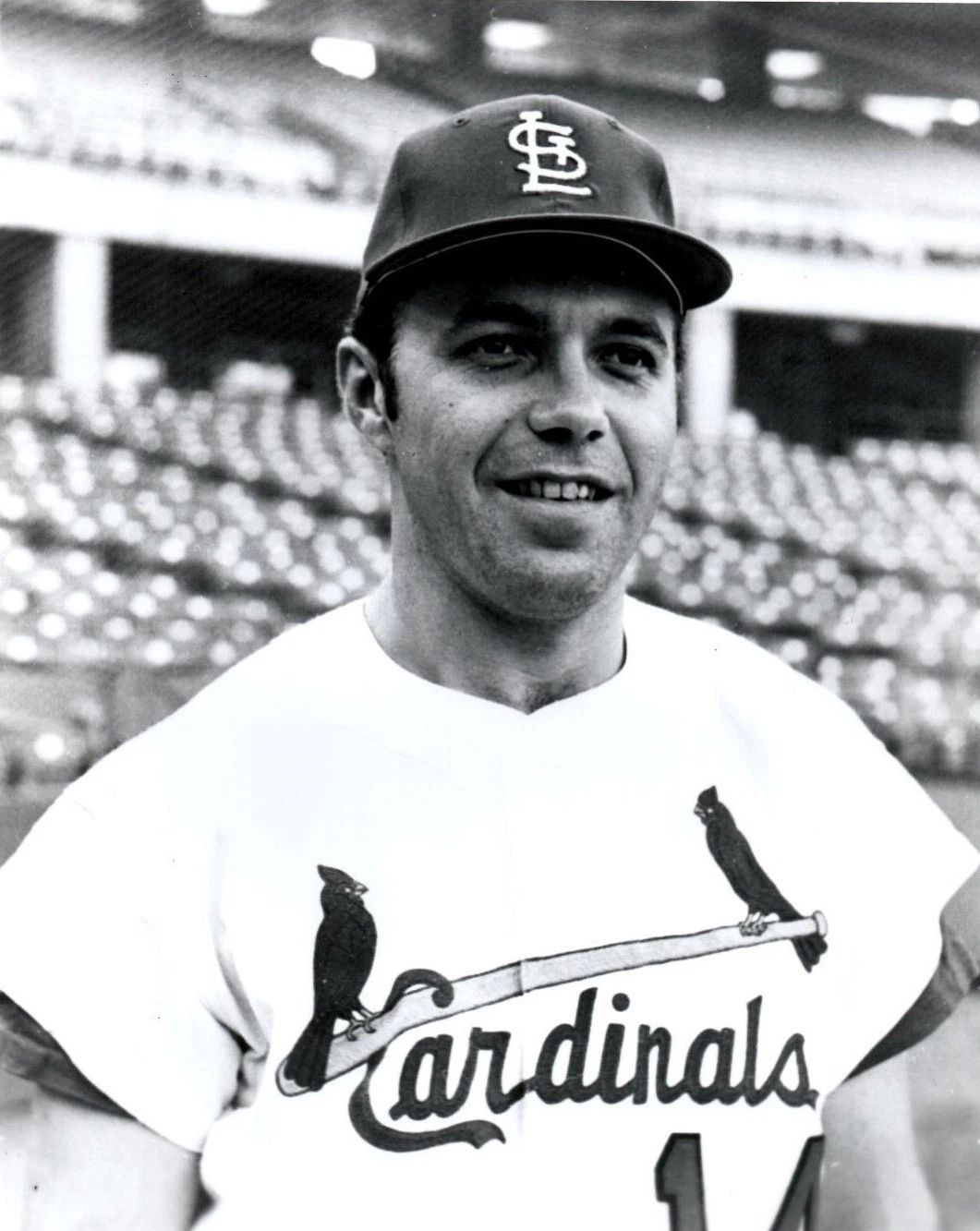 Ron Davis Photo St Louis Cardinals Baseball Picture Mlb 300 PCS Jigsaw Puzzle