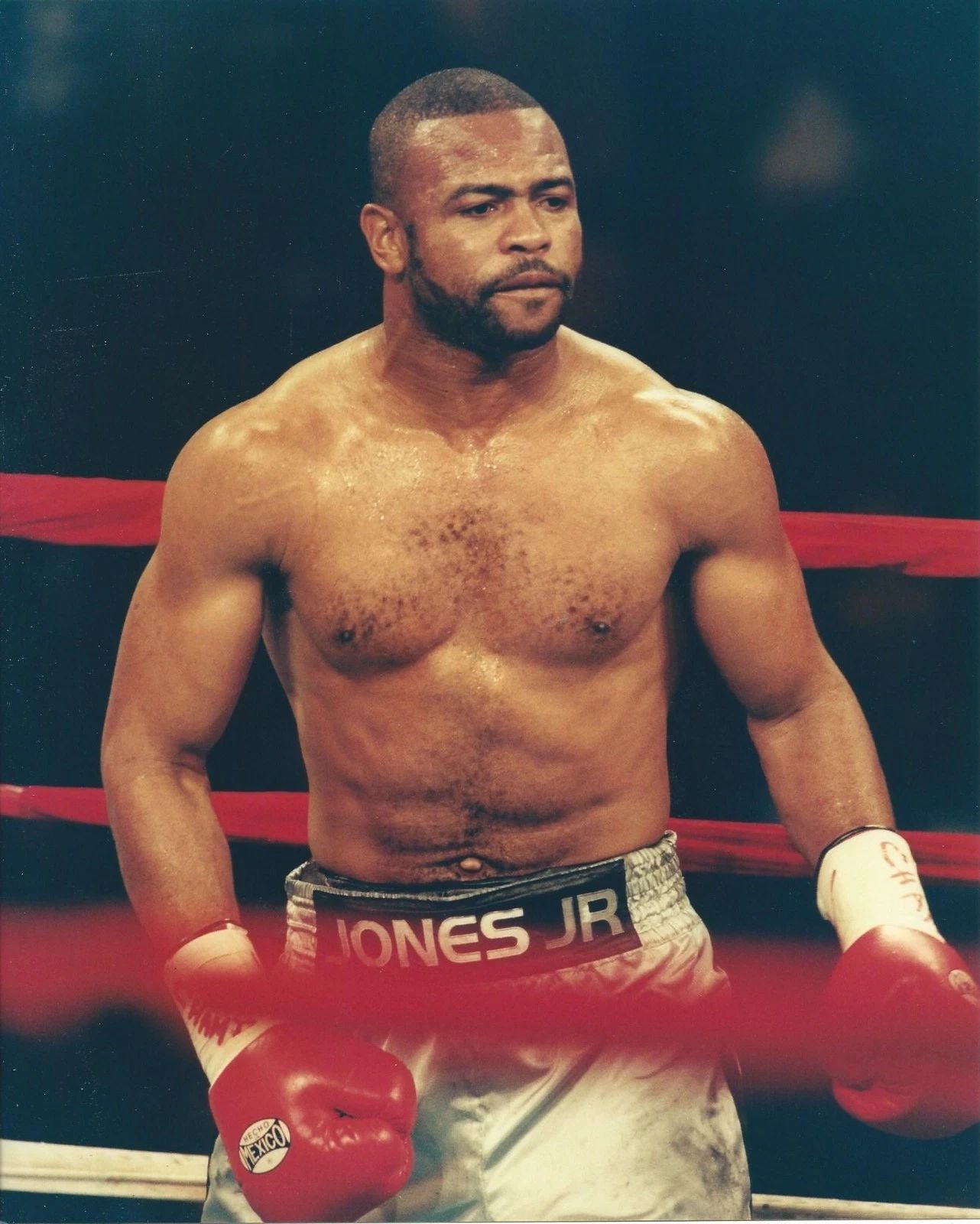 Roy Jones Jr Photo Boxing Picture Close Up In Ring