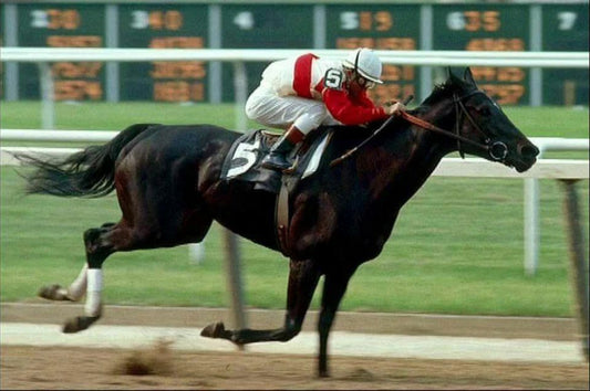 Ruffian Keychain Horse Racing Picture Jockey Action Wide Border