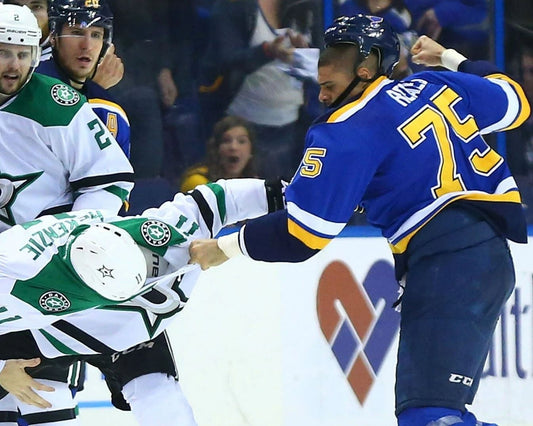 Ryan Reaves Vs Curtis Mckenzie Magnet Hockey St. Louis Blues Stars Fight