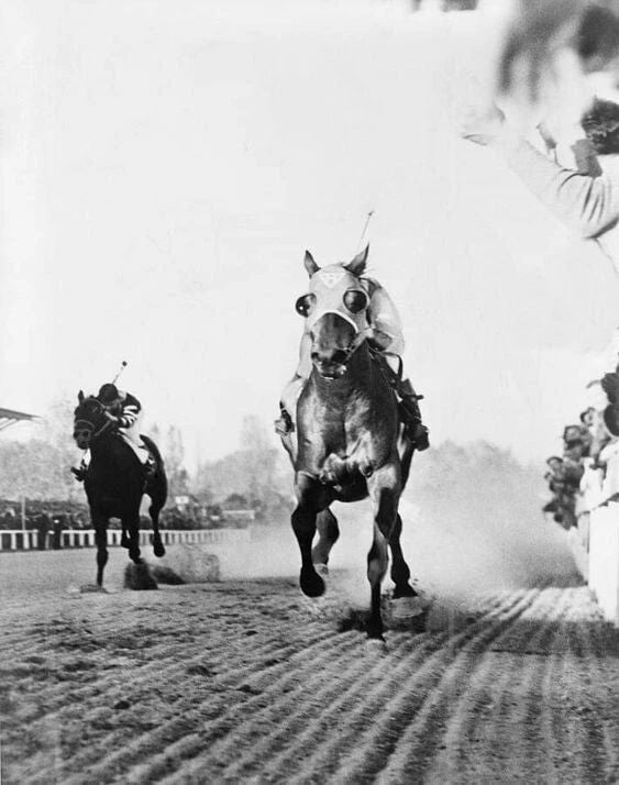 Race Horse Seabiscuit Crosses Finish Line Vs War Admiral 300 Piece Jigsaw Puzzle