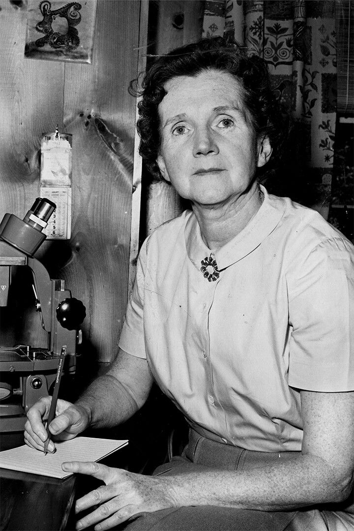 Rachel Carson Looking Through A Microscope Jigsaw Puzzle