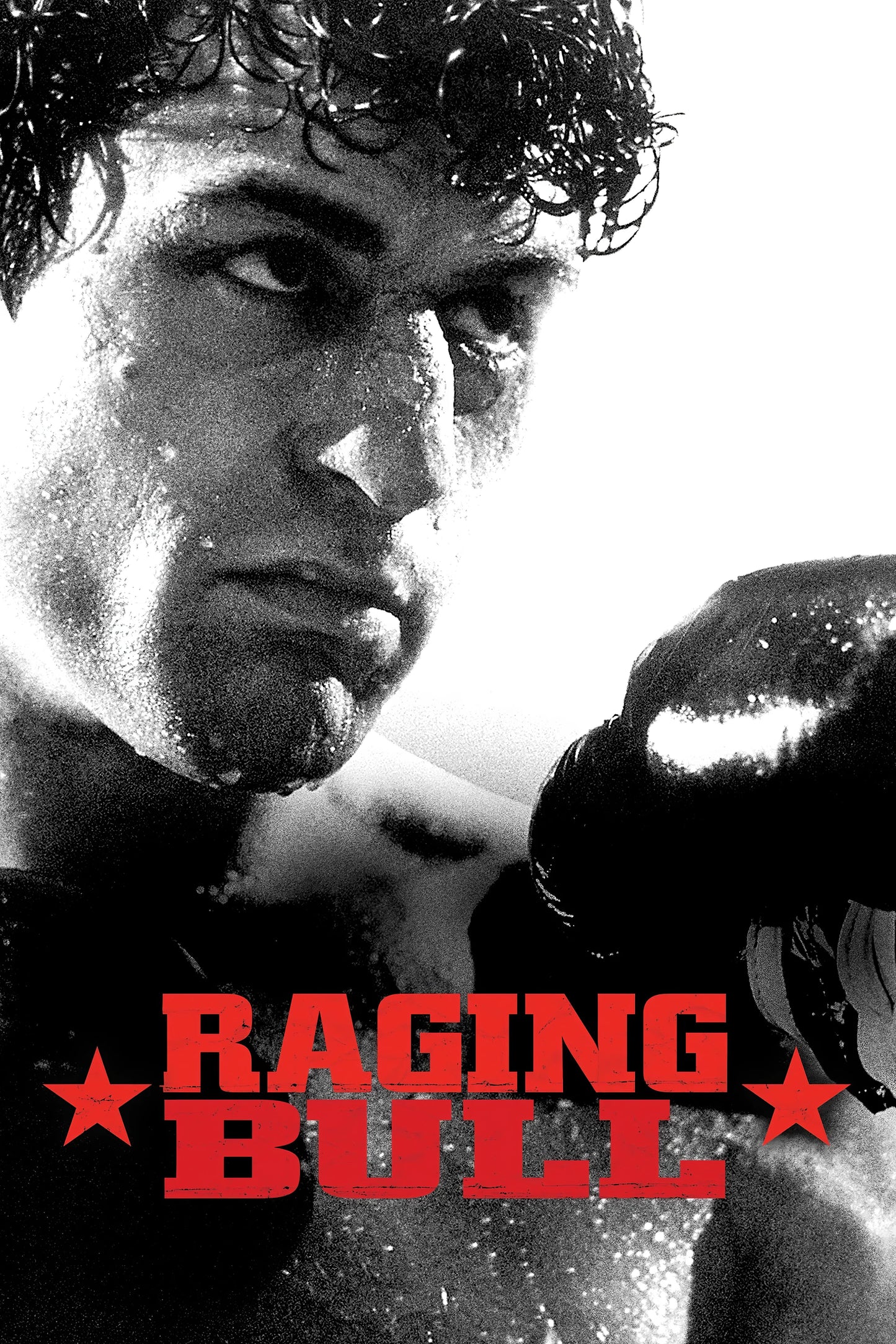 Raging Bull (1980) Movie Magnet