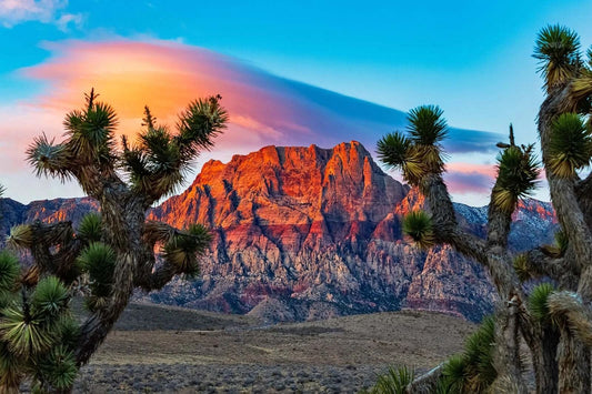 Red Rock Canyon Las Vegas Desert Landscape Nature Magnet Picture Magnet