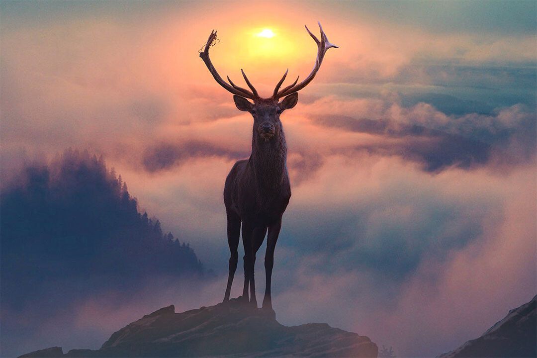 Reindeer On The Mountain Wild Life Animals Jigsaw Puzzle