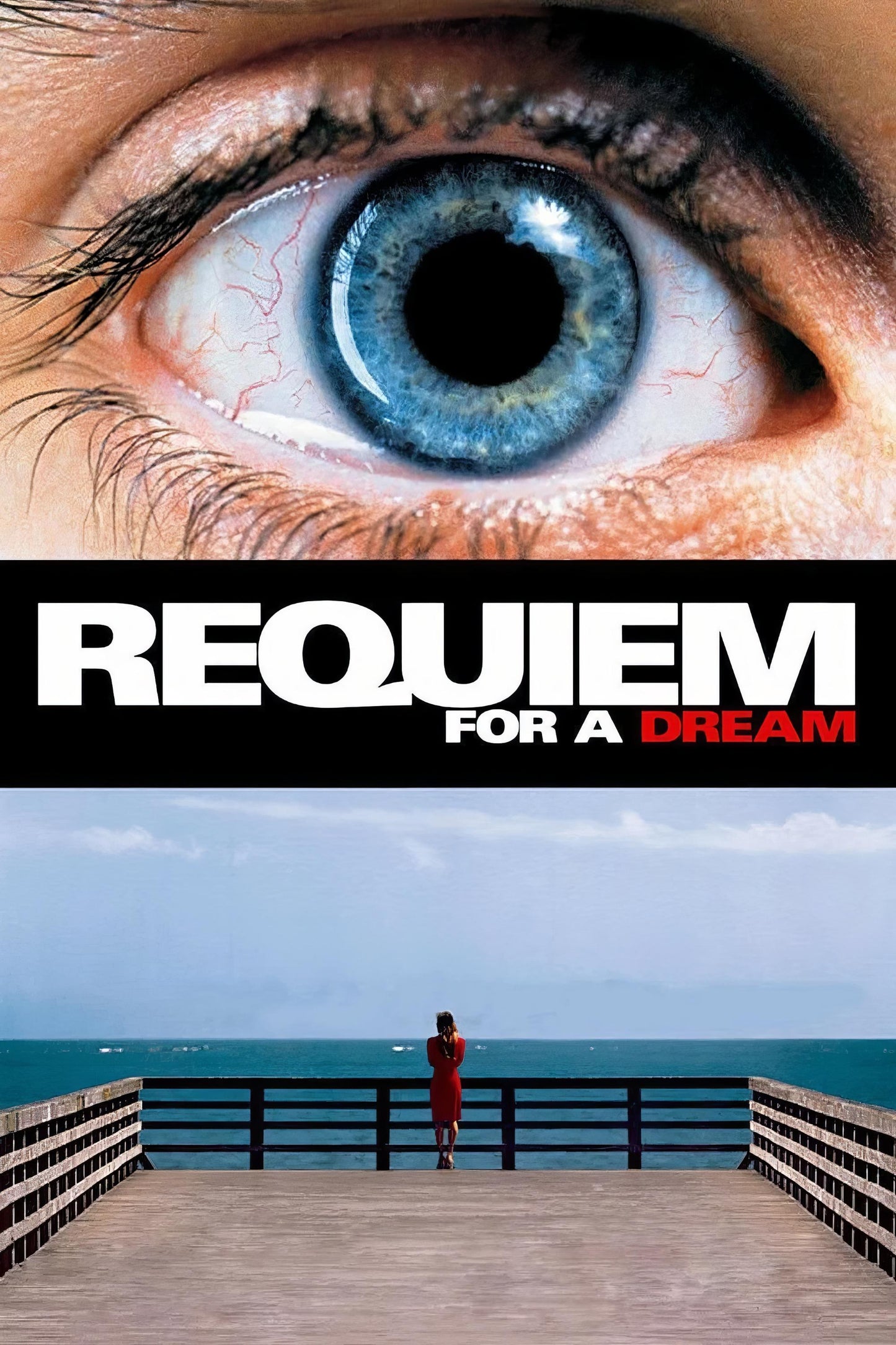 Requiem For A Dream (2000) Movie Magnet