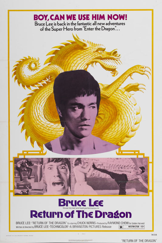 Return Of Dragon 01 Movie Magnet