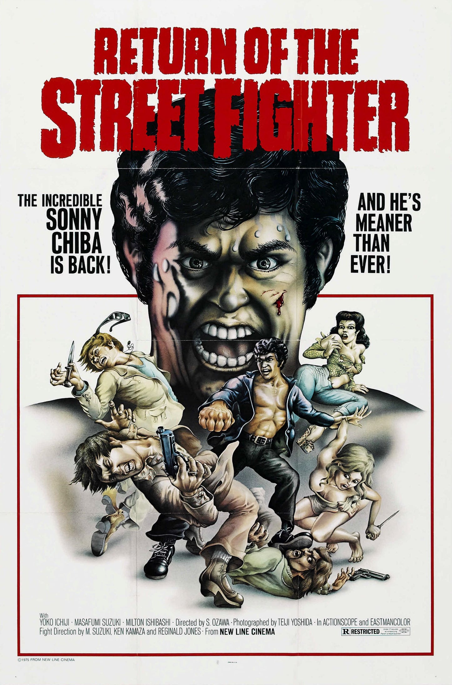 Return Of Street Fighter 01 Movie Magnet