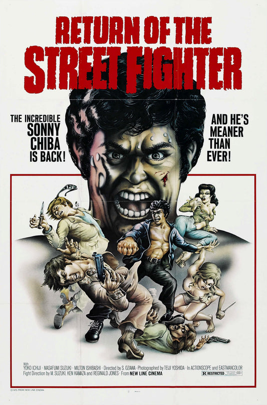 Return Of Street Fighter 01 Movie Magnet