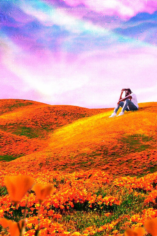 Rexx Life Raj California Poppy 2 Music Mixtape Wall Home Decor Jigsaw Puzzle