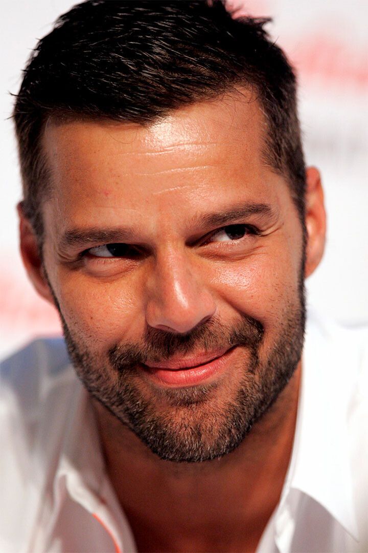 Ricky Martin Dark Gray Sweater Celebrity Jigsaw Puzzle