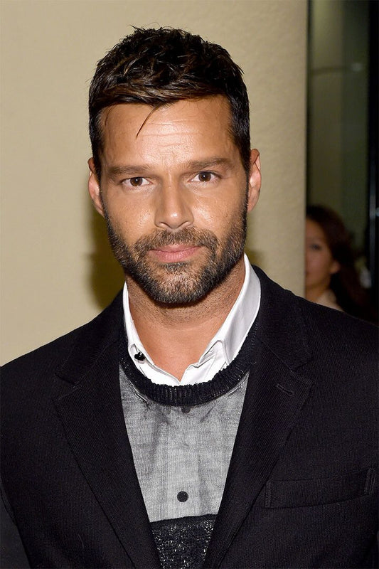 Ricky Martin Dark Gray Sweater Famouse Artist Jigsaw Puzzle