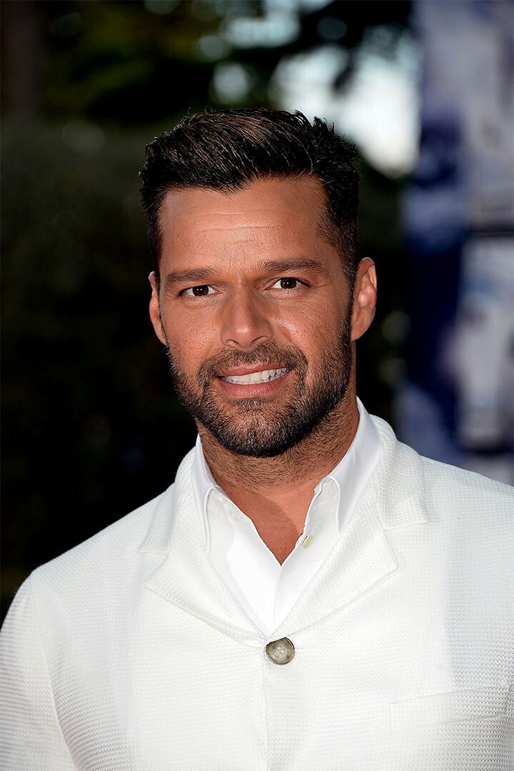 Ricky Martin Dark Gray Sweater Musician Jigsaw Puzzle