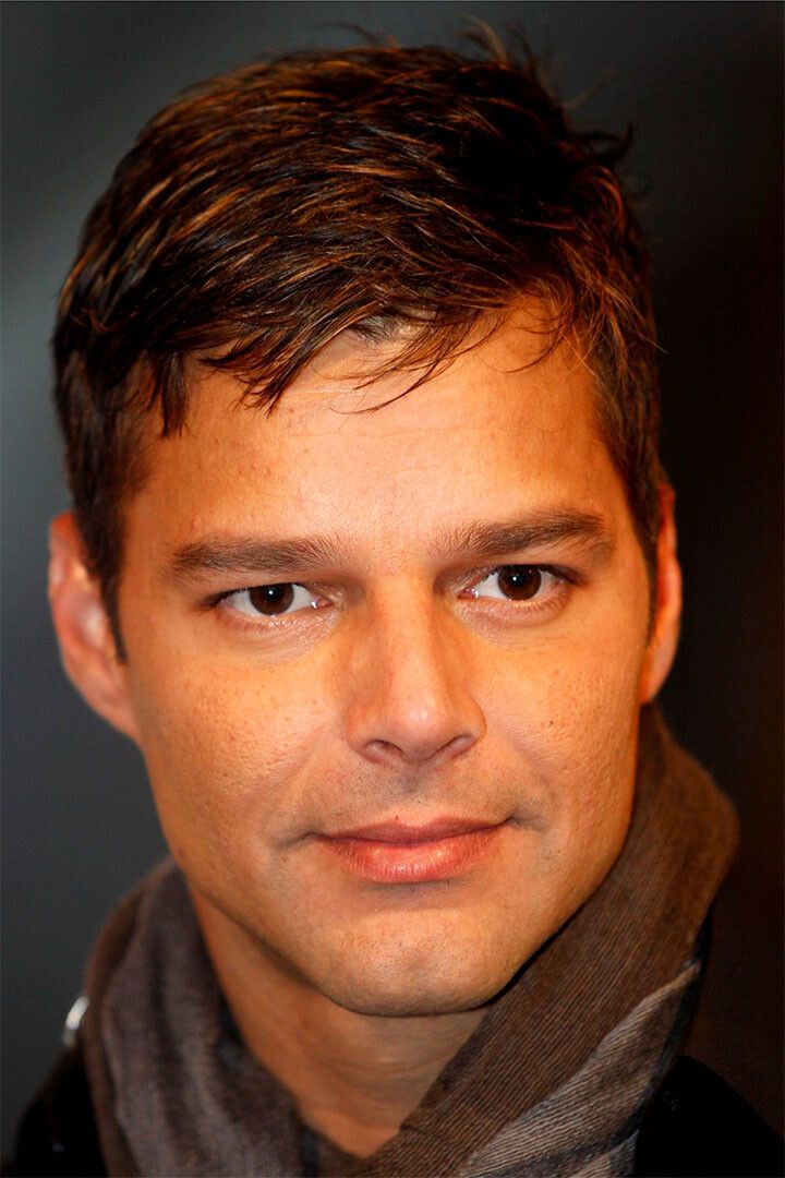 Ricky Martin Dark Gray Sweater Writer Artist Jigsaw Puzzle