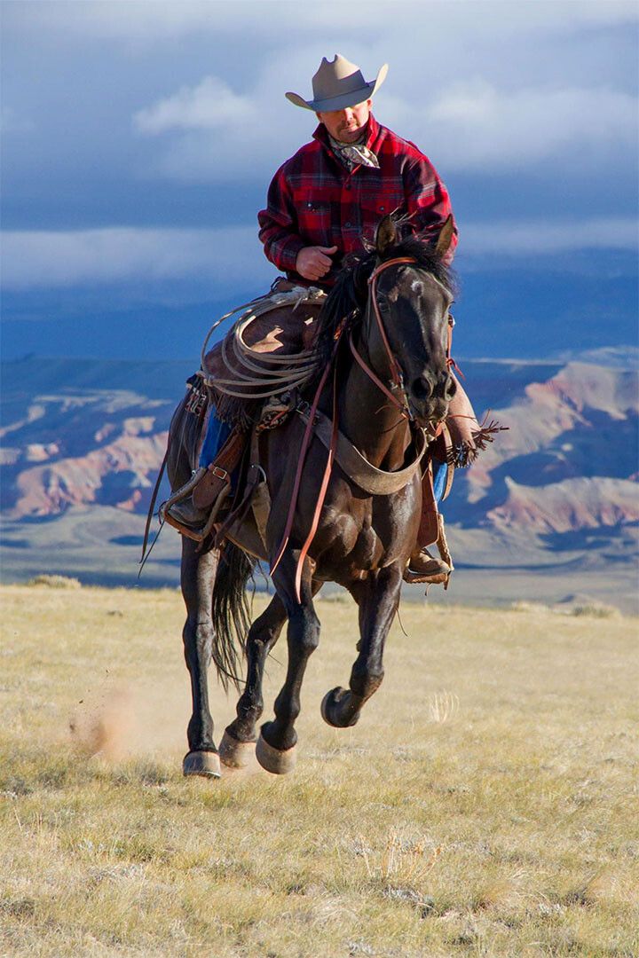 Rider Cowboy And Horse Landscape Painting Jigsaw Puzzle