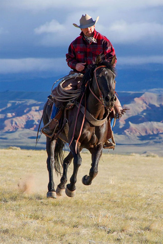 Rider Cowboy And Horse Landscape Painting Jigsaw Puzzle