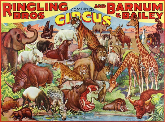 Ringling Bros Barnum & Bailey Circus Animals Vintage Magnet Ad Reprint