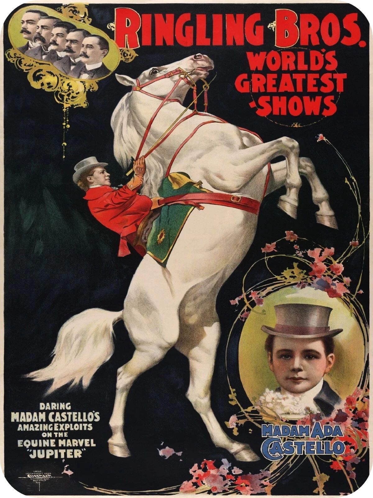 Ringling Bros Barnum & Bailey Circus Horse Retro