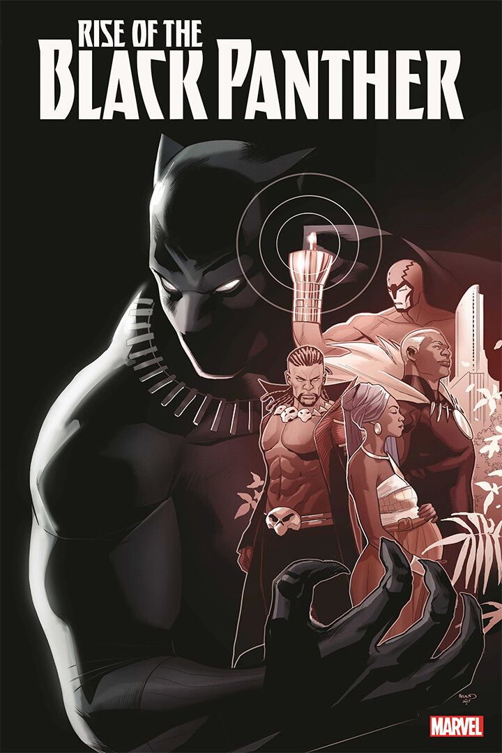 Rise Of The Black Panther Comic Book Cover Art Print Decor Jigsaw Puzzle